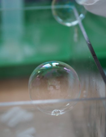 P1010004 (Small).JPG